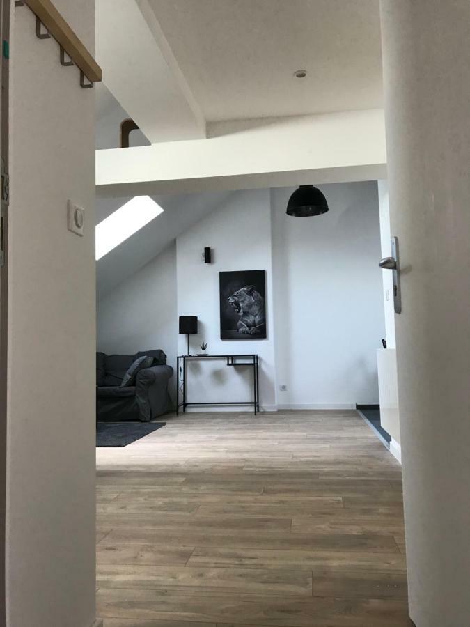 Appartement Le Toit De Dembour Metz
